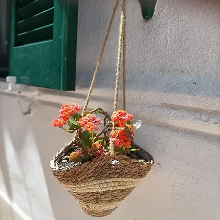 A Casa Di Cicca アパート