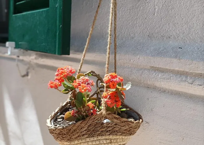 A Casa Di Cicca Διαμέρισμα